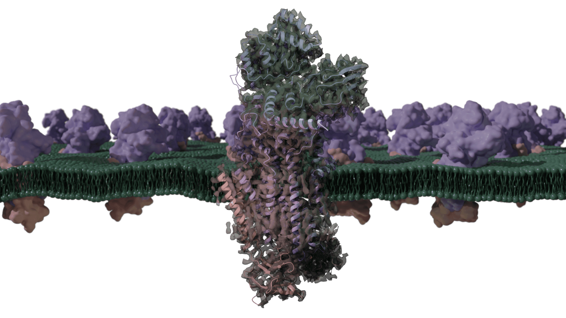 1st CryoNET course on advanced single particle cryo-EM analysis