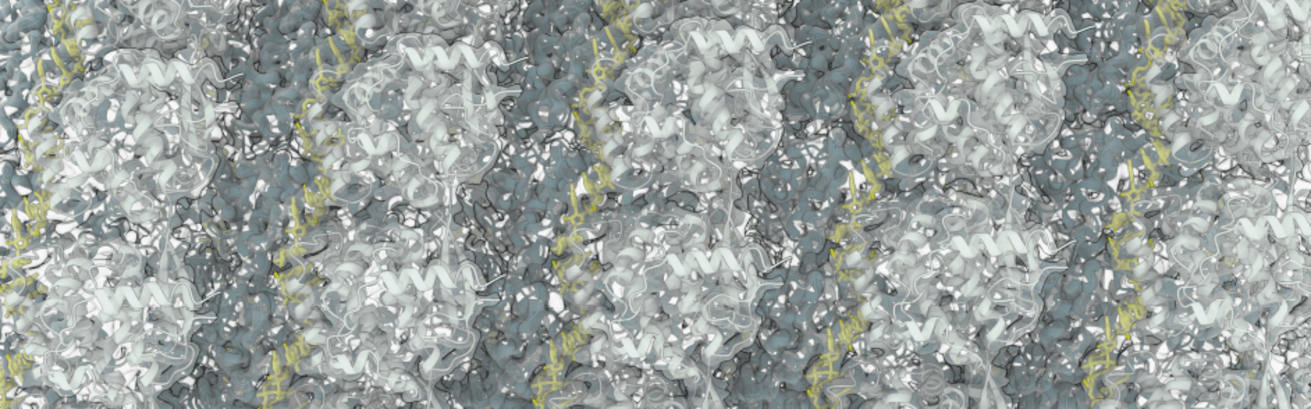 4th CryoNET Advanced Image Processing Workshop